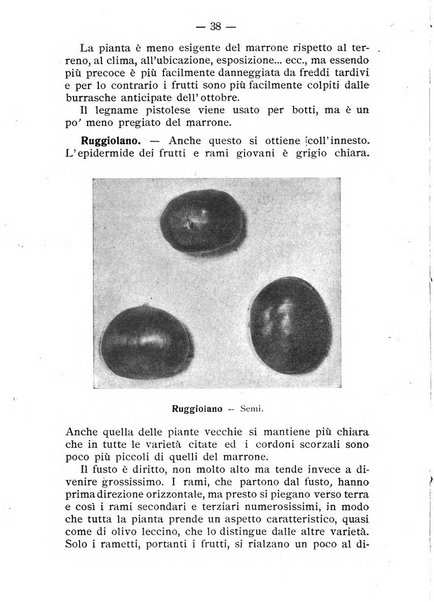 Almanacco del giornale di agricoltura L'Italia agricola