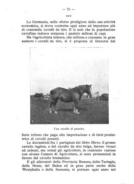 Almanacco del giornale di agricoltura L'Italia agricola