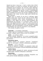 giornale/BVE0264924/1908/unico/00000096