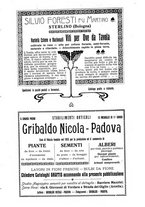 giornale/BVE0264924/1908/unico/00000231