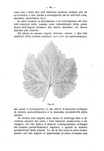 Almanacco del giornale di agricoltura L'Italia agricola