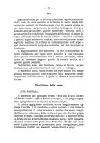 giornale/BVE0264924/1909/unico/00000091