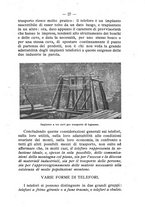 giornale/BVE0264924/1910/unico/00000033