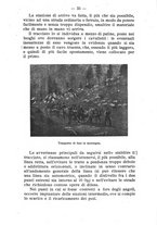 giornale/BVE0264924/1910/unico/00000041