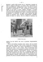 giornale/BVE0264924/1910/unico/00000063