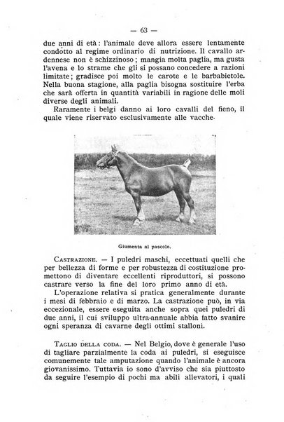 Almanacco del giornale di agricoltura L'Italia agricola