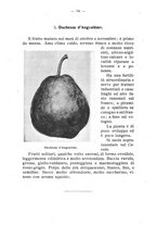 giornale/BVE0264924/1910/unico/00000104