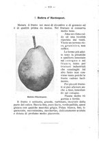 giornale/BVE0264924/1910/unico/00000106