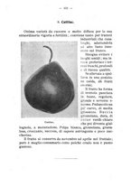 giornale/BVE0264924/1910/unico/00000107