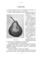 giornale/BVE0264924/1910/unico/00000109