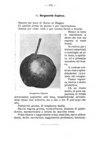 giornale/BVE0264924/1910/unico/00000110