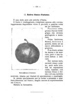 giornale/BVE0264924/1910/unico/00000112