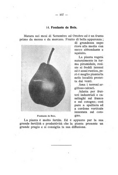 Almanacco del giornale di agricoltura L'Italia agricola