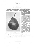 giornale/BVE0264924/1910/unico/00000113