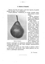 giornale/BVE0264924/1910/unico/00000117