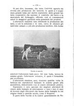giornale/BVE0264924/1910/unico/00000180
