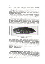 giornale/BVE0264924/1912/unico/00000024