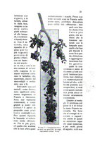 giornale/BVE0264924/1912/unico/00000027