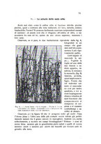 giornale/BVE0264924/1912/unico/00000079