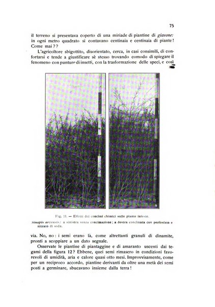 Almanacco del giornale di agricoltura L'Italia agricola