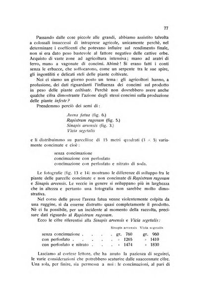 Almanacco del giornale di agricoltura L'Italia agricola