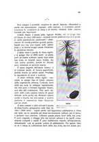 giornale/BVE0264924/1912/unico/00000101