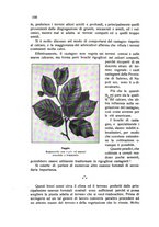 giornale/BVE0264924/1912/unico/00000106