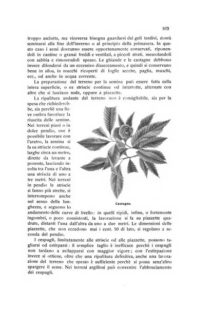 Almanacco del giornale di agricoltura L'Italia agricola