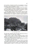 giornale/BVE0264924/1912/unico/00000113