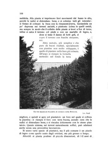 Almanacco del giornale di agricoltura L'Italia agricola