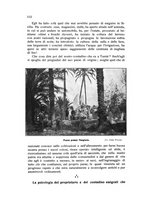 giornale/BVE0264924/1912/unico/00000118