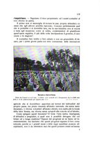 giornale/BVE0264924/1912/unico/00000119