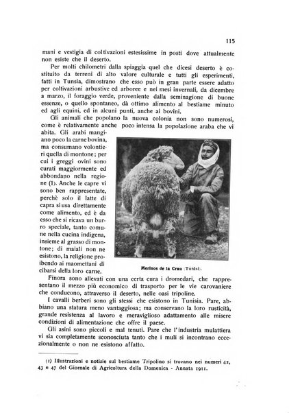 Almanacco del giornale di agricoltura L'Italia agricola