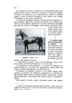 giornale/BVE0264924/1912/unico/00000122