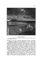 giornale/BVE0264924/1912/unico/00000127