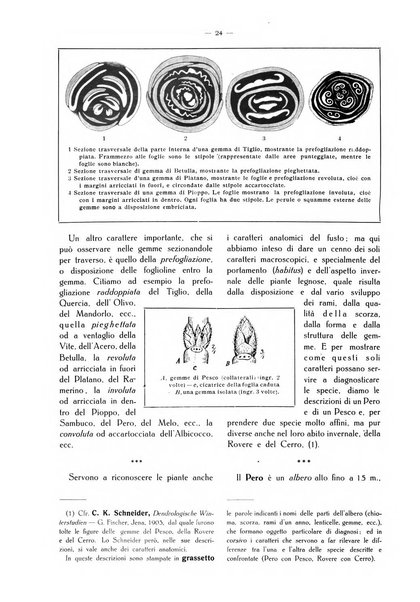 Almanacco del giornale di agricoltura L'Italia agricola