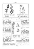 giornale/BVE0264924/1914/unico/00000031