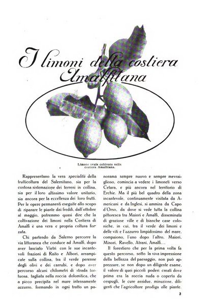 Almanacco del giornale di agricoltura L'Italia agricola