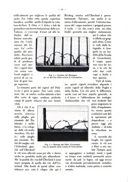 Almanacco del giornale di agricoltura L'Italia agricola