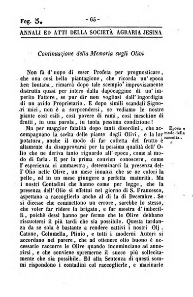 Società di Agricoltura Jesina. Annali ed Atti