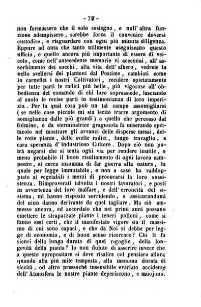 Società di Agricoltura Jesina. Annali ed Atti