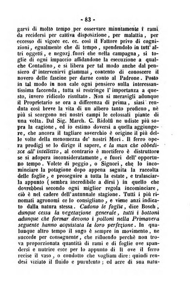 Società di Agricoltura Jesina. Annali ed Atti