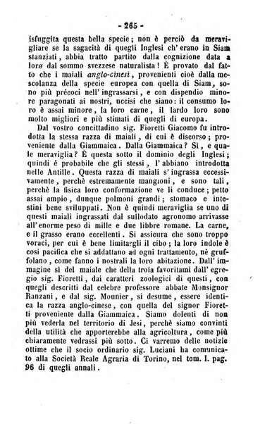 Società di Agricoltura Jesina. Annali ed Atti