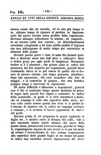 Società di Agricoltura Jesina. Annali ed Atti