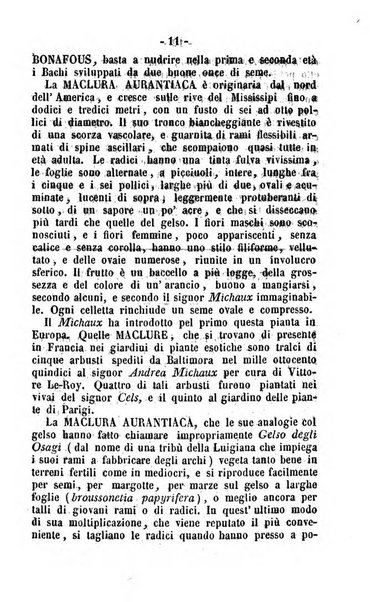 Società di Agricoltura Jesina. Annali ed Atti