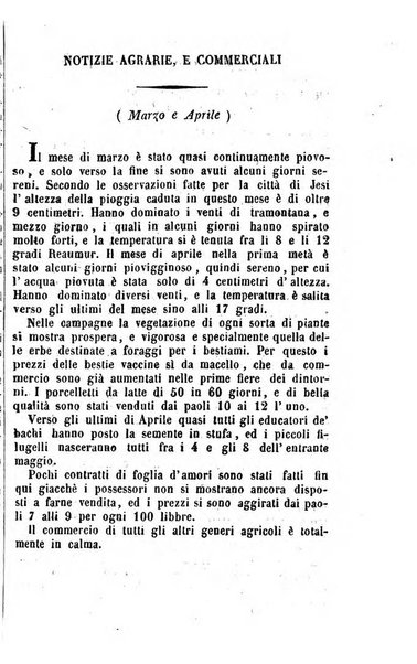 Società di Agricoltura Jesina. Annali ed Atti