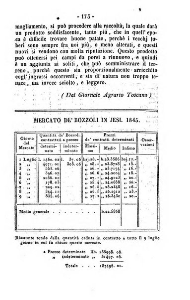 Società di Agricoltura Jesina. Annali ed Atti