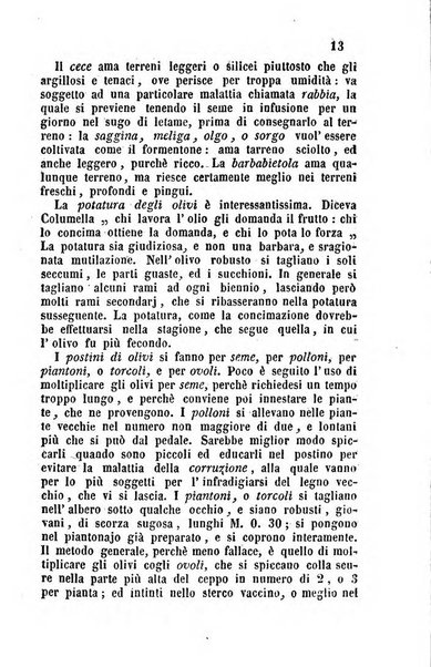 Società di Agricoltura Jesina. Annali ed Atti