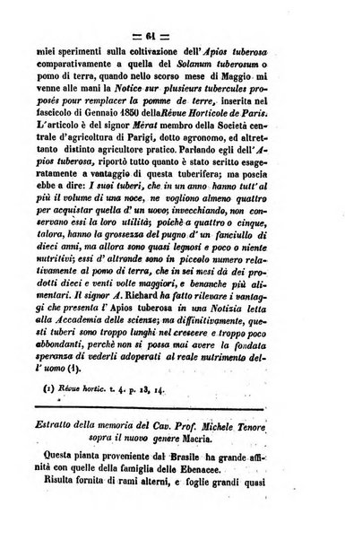 Società di Agricoltura Jesina. Annali ed Atti