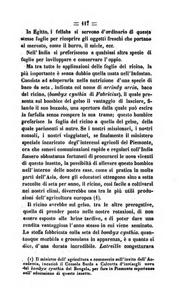 Società di Agricoltura Jesina. Annali ed Atti